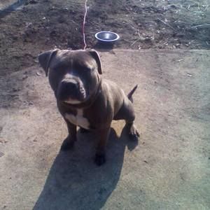 Meet your Posher, Richard